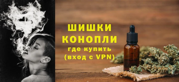 гидропоника Бородино