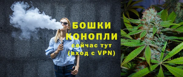гидропоника Бородино