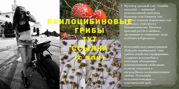 гидропоника Бородино