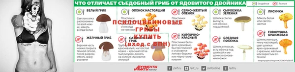 2c-b Бронницы