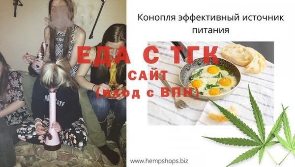 гидропоника Бородино