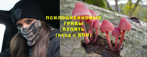 гидропоника Бородино